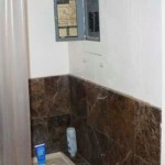 Shower panel